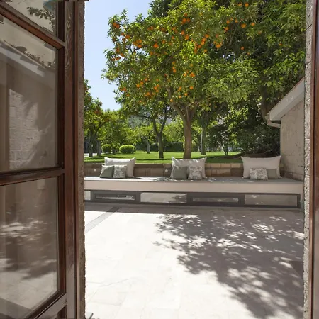 - Ebe * Σορέντο